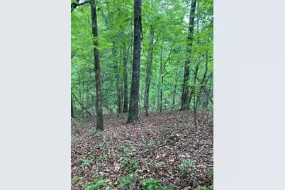 00 Crest View Drive, Dahlonega, GA 30533 - Photo 7