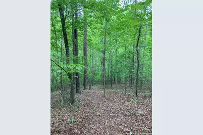 00 Crest View Drive, Dahlonega, GA 30533 - Photo 5