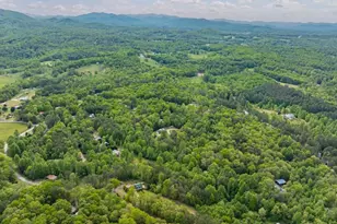 1881 John Smith Rd E, Blairsville, GA 30512 - Photo 25