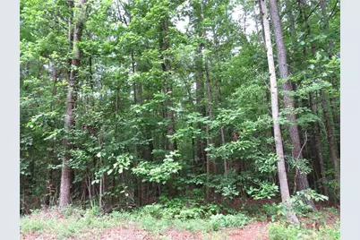 0 Doke Cohran Road, Dallas, GA 30157 - Photo 5