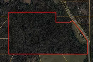 912 4 Mile Church Rd, Ball Ground, GA 30107 - Photo 71