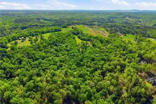912 4 Mile Church Rd, Ball Ground, GA 30107 - Photo 53