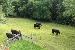 912 4 Mile Church Rd, Ball Ground, GA 30107 - Photo 67