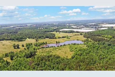 0000 Wayne Poultry Road, Pendergrass, GA 30567 - Photo 3