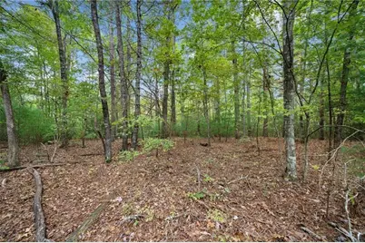 0 Trout Line Court, Talking Rock, GA 30175 - Photo 5