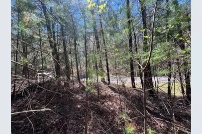 0 Trout Line Court, Talking Rock, GA 30175 - Photo 11