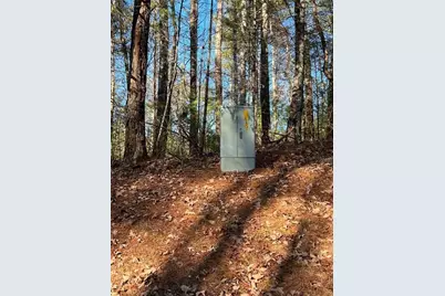 0 Trout Line Court, Talking Rock, GA 30175 - Photo 15