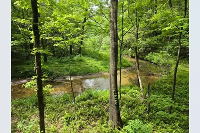 409 Harrison Sluder Road, Ellijay, GA 30540 - Photo 25