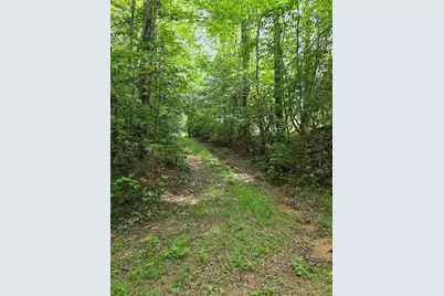 409 Harrison Sluder Road, Ellijay, GA 30540 - Photo 23