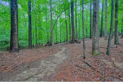 3650 Walden Cove, Acworth, GA 30102 - Photo 85