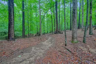 3650 Walden Cove, Acworth, GA 30102 - Photo 85