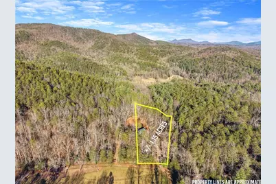 121 Waterfalls Way, Clarkesville, GA 30523 - Photo 55