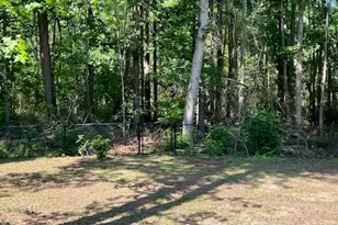 7334 Drake Ave, Lithonia, GA 30058 - Photo 49