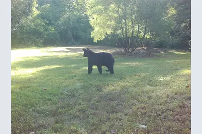 500 Big Sky Trail, Dahlonega, GA 30533 - Photo 17