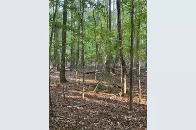 0 Conger Road, Union Point, GA 30669 - Photo 7