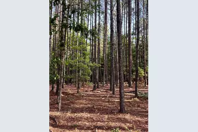 0 Conger Road, Union Point, GA 30669 - Photo 9
