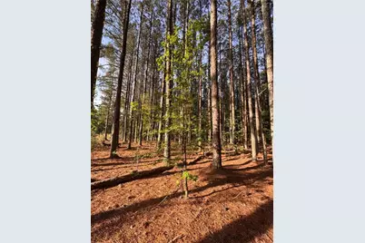 0 Conger Road, Union Point, GA 30669 - Photo 11
