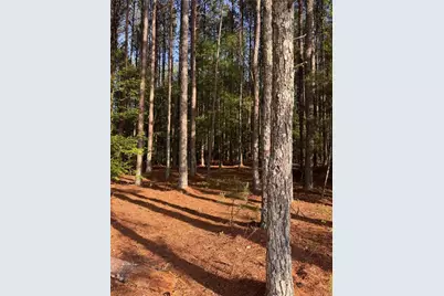 0 Conger Road, Union Point, GA 30669 - Photo 5
