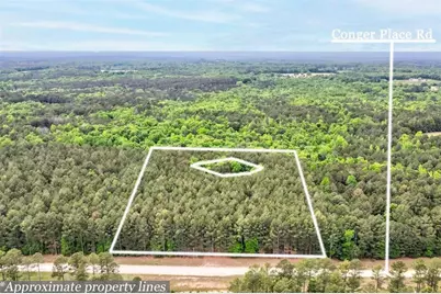 0 Conger Road, Union Point, GA 30669 - Photo 3