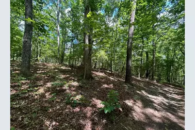 0 Fouts Mill Rd, Douglasville, GA 30135 - Photo 5