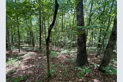 0 Fouts Mill Rd, Douglasville, GA 30135 - Photo 1