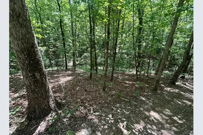 0 Fouts Mill Rd, Douglasville, GA 30135 - Photo 3