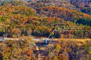 456 Back Pine Way, Ellijay, GA 30536 - Photo 49