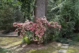 3539 Embry Cir, Atlanta, GA 30341 - Photo 23