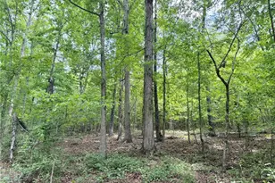 377 W Oak Grove Rd NW, Adairsville, GA 30103 - Photo 1