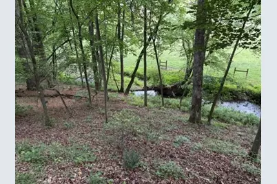 255 Clear Creek Preserve Way, Ellijay, GA 30536 - Photo 55