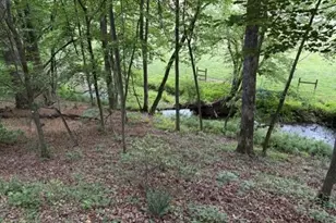 255 Clear Creek Preserve Wy, Ellijay, GA 30536 - Photo 55