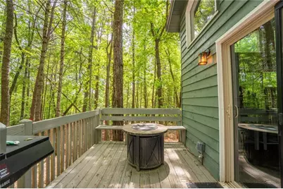 254 Star Lake Lane, Sautee Nacoochee, GA 30571 - Photo 43