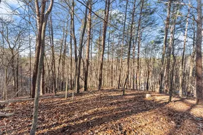0 Golden Lot 5 Avenue, Dahlonega, GA 30533 - Photo 13