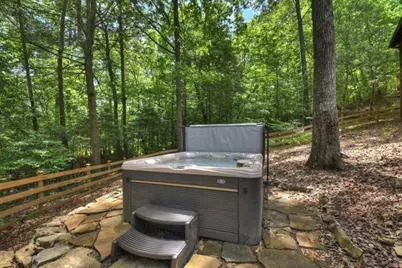 101 Overlook Road, Blue Ridge, GA 30513 - Photo 39