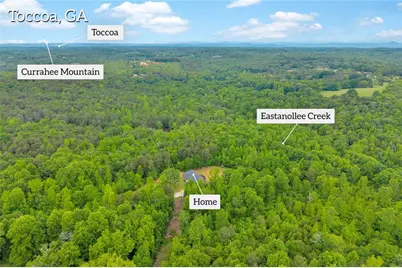 143 Pace Road, Toccoa, GA 30577 - Photo 59