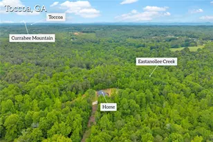 143 Pace Rd, Toccoa, GA 30577 - Photo 59