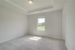 199 Buffalo Trce, Stockbridge, GA 30281 - Photo 17