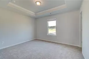 199 Buffalo Trce, Stockbridge, GA 30281 - Photo 21