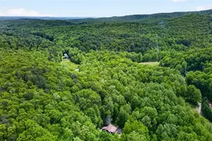 1 Thurmond Walker Rd, Dahlonega, GA 30533 - Photo 43
