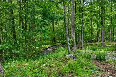 1 Thurmond Walker Road, Dahlonega, GA 30533 - Photo 9