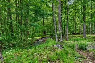 1 Thurmond Walker Rd, Dahlonega, GA 30533 - Photo 9