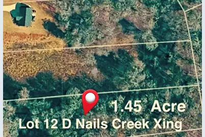 Lot 12 Nails Creek Xing, Royston, GA 30662 - Photo 5
