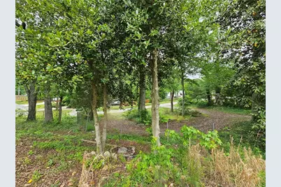 4699 Buckhorn Trail SE, Acworth, GA 30102 - Photo 3