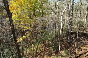 17 Dach Bruecke Gasse, Helen, GA 30545 - Photo 23