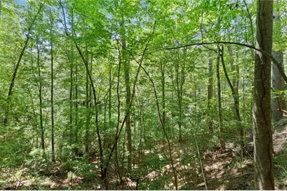 17 Dach Bruecke Gasse, Helen, GA 30545 - Photo 39