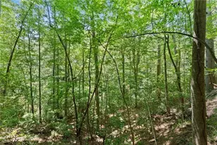 17 Dach Bruecke Gasse, Helen, GA 30545 - Photo 39