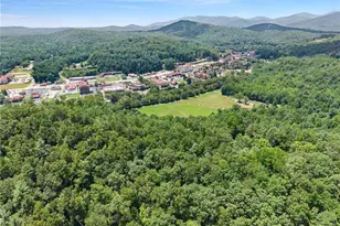 17 Dach Bruecke Gasse, Helen, GA 30545 - Photo 61