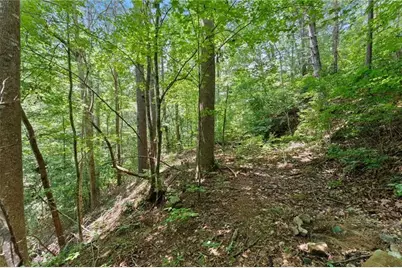17 Dach Bruecke Gasse, Helen, GA 30545 - Photo 41