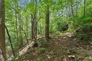 17 Dach Bruecke Gasse, Helen, GA 30545 - Photo 41