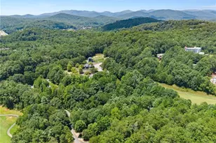 17 Dach Bruecke Gasse, Helen, GA 30545 - Photo 49